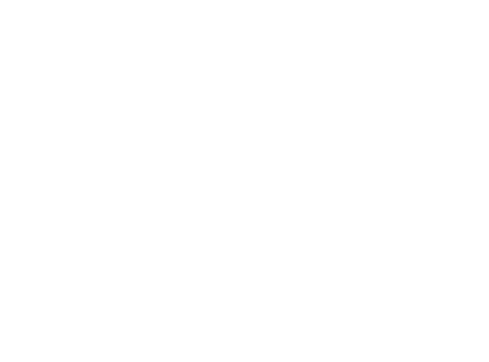 Squizzi logotyp