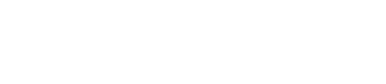 STOLT Ski logotyp